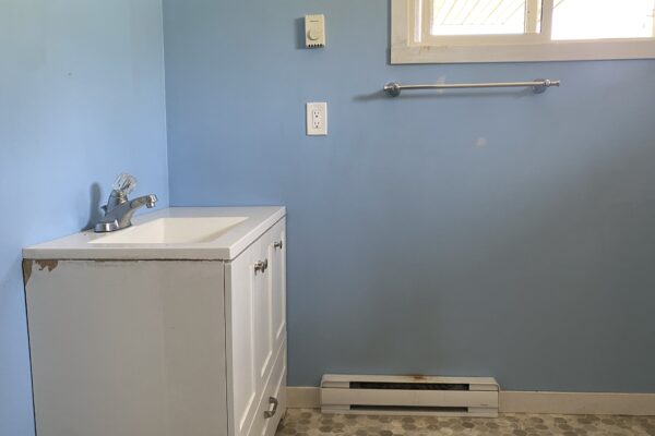 best realtor kelowna