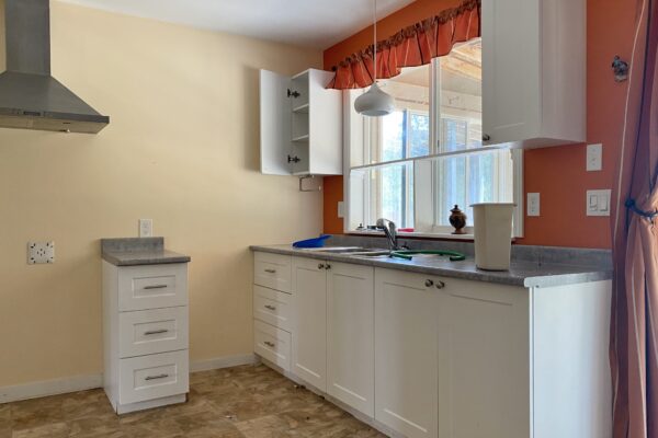 best realtor kelowna